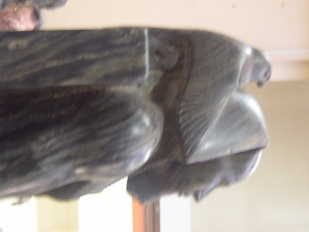 Lupo Egitto 137